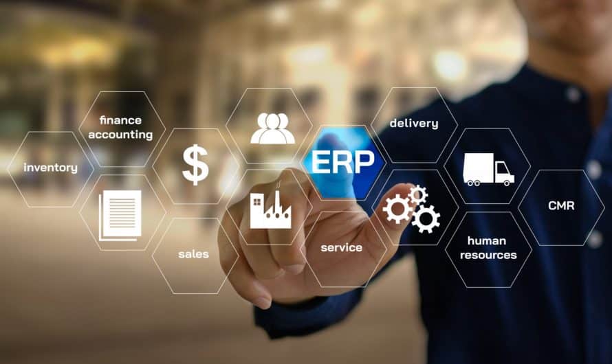 ERP for business-oriented businesses: an essential solution