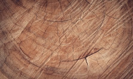 découvrez notre sélection de décorations en bois pour apporter chaleur et authenticité à votre intérieur. transformez votre espace avec des pièces uniques qui allient style naturel et élégance.